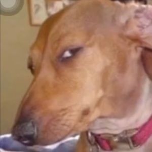 Meet your Posher, Ricky